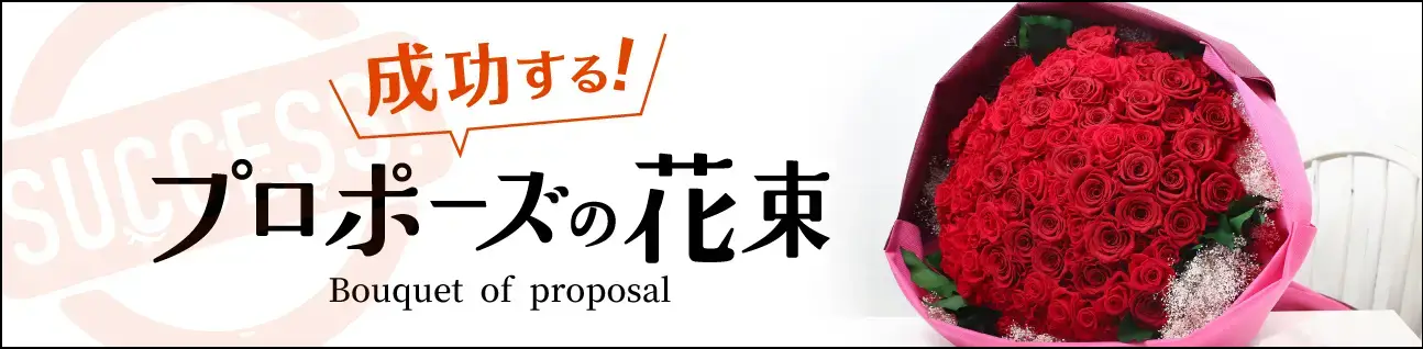 propose_bnr